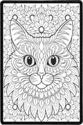 Cat Mandala
