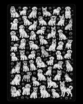 Dog Doodle Blanket