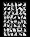 Cat Doodle Blanket