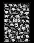 Big Five Doodle Blanket
