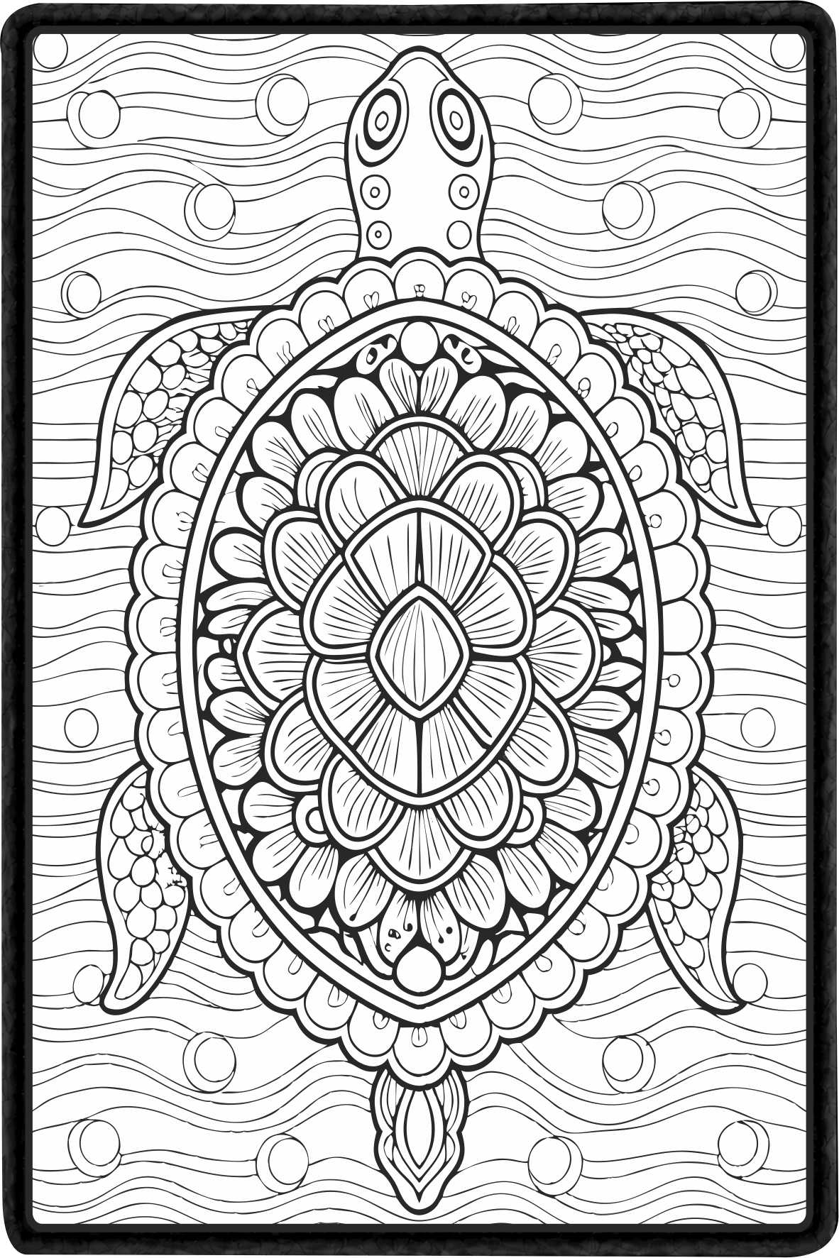 Turtle