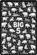 Big Five Doodle Blanket